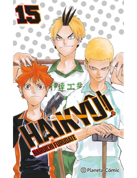 Haikyu nº 15